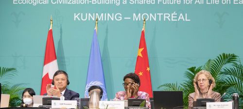 COP15 adopts Kunming-Montreal Global Biodiversity Framework
