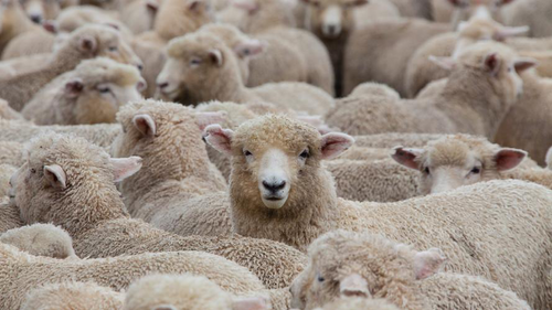 Publicly available data is causing a herd mentality amongst analysts