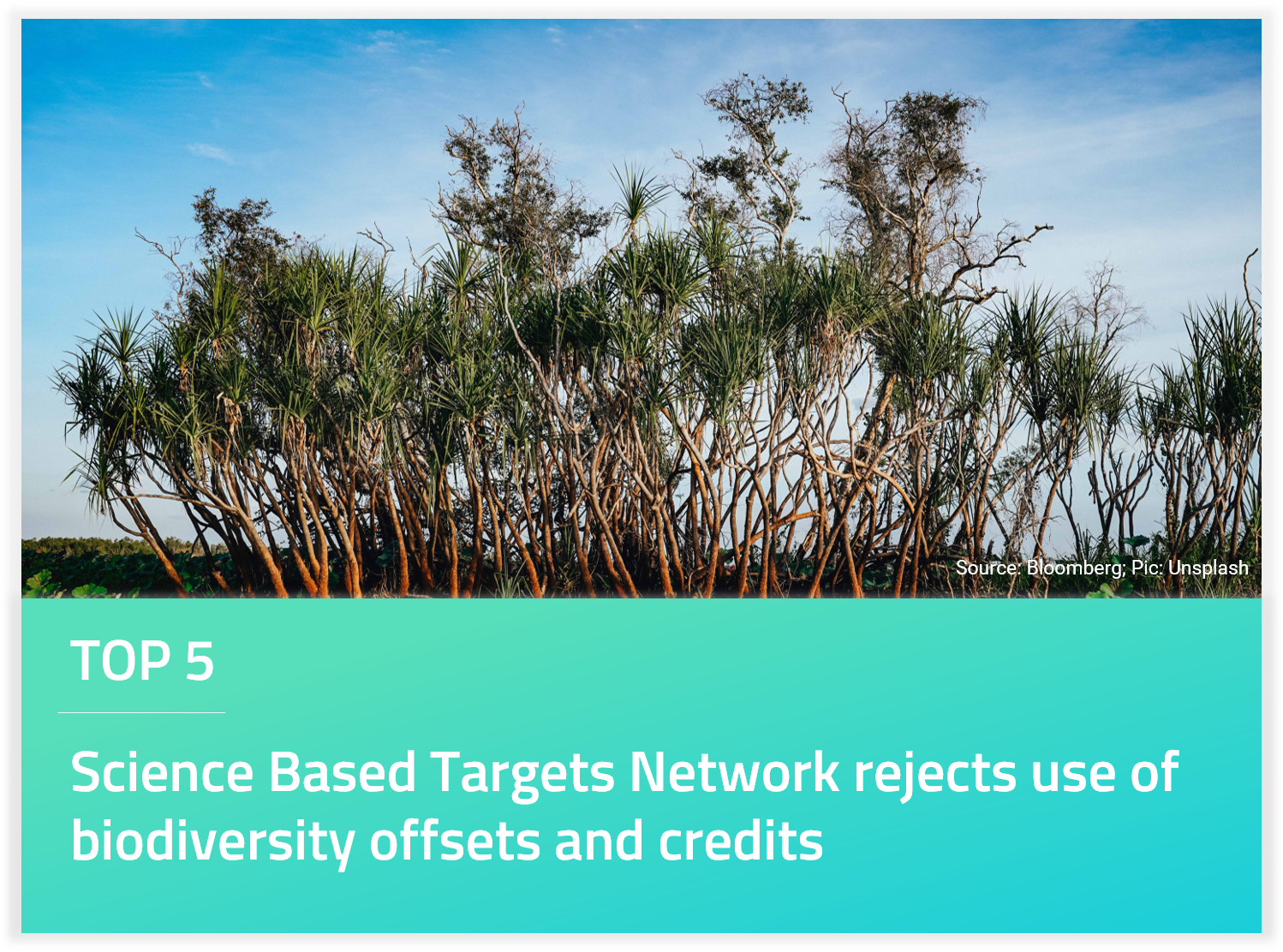 Science Based Targets Network rejects use of biodiversity offsets and credits 