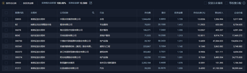 BGF China Impact Fund前十大持仓股